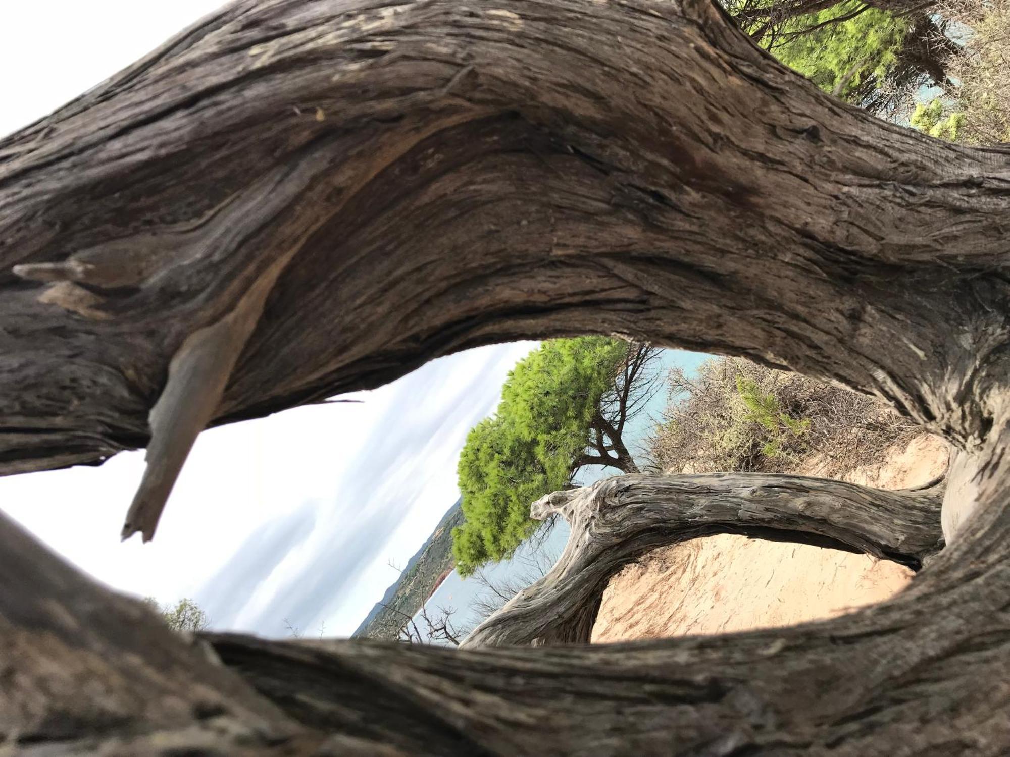 Villa Casa Totti Vue Mer Avec Piscine Porto-Vecchio  Exteriör bild
